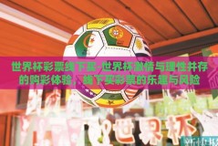 世界杯彩票线下买-世界杯激情与理性并存的购彩体验，线下买彩票的乐趣与风险