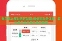 微信怎么买世界杯彩票-微信购彩新体验，轻松参与世界杯彩票的指南