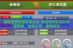 微信世界杯足彩怎么买-微信世界杯足彩购买指南，轻松上手，理性投注