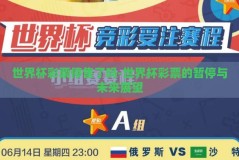 世界杯彩票停售了吗-世界杯彩票的暂停与未来展望