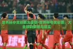 世界杯中奖彩票大金额-世界杯中奖彩票，大金额的梦想与现实