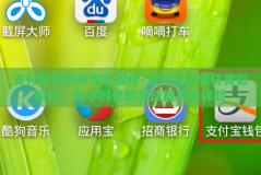 支付宝世界杯竞彩软件-支付宝世界杯竞彩软件，数字时代的足球盛宴新体验