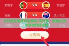 支付宝在哪里买世界杯-支付宝，便捷之选，尽享世界杯激情