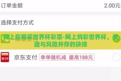 网上在哪买世界杯彩票-网上购彩世界杯，便捷与风险并存的抉择