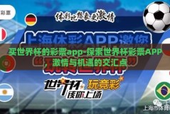 买世界杯的彩票app-探索世界杯彩票APP，激情与机遇的交汇点