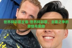 世界杯彩票主客-世界杯彩票，主客之争的激情与策略