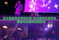 支付宝能买世界杯彩票-支付宝购彩世界杯，便捷与乐趣的完美结合