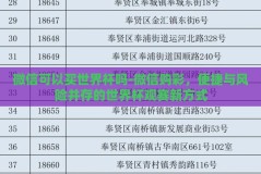 微信可以买世界杯吗-微信购彩，便捷与风险并存的世界杯观赛新方式