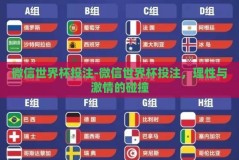 微信世界杯投注-微信世界杯投注，理性与激情的碰撞