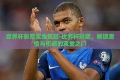 世界杯彩票奖金包括-世界杯彩票，解锁激情与机遇的双重之门