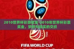 2010世界杯彩票奖金-2010年世界杯彩票奖金，梦想与现实的交织