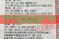 世界杯彩票买总球数-世界杯彩票，玩转总球数的乐趣与策略
