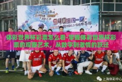 体彩世界杯彩票怎么看-掌握体彩世界杯彩票的观察艺术，从数字到激情的跃迁