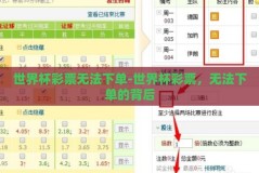 世界杯彩票无法下单-世界杯彩票，无法下单的背后
