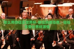 怎么用微信买世界杯-微信购票指南，轻松享受世界杯激情