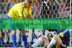微信买世界杯赌球-微信买世界杯赌球，风险与警醒