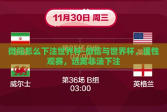 微信怎么下注世界杯-微信与世界杯，理性观赛，远离非法下注