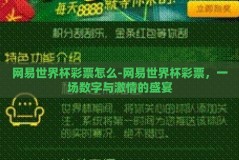 网易世界杯彩票怎么-网易世界杯彩票，一场数字与激情的盛宴