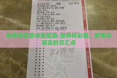 世界杯彩票中奖信息-世界杯彩票，梦想与现实的交汇点