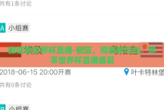 微信看世界杯直播-微信，观赛新风尚，尽享世界杯直播盛宴