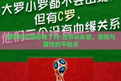 世界杯彩票停售了吗-世界杯彩票，激情与理性的平衡点