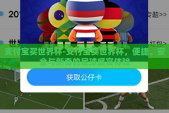 支付宝买世界杯-支付宝买世界杯，便捷、安全与新奇的足球盛宴体验