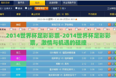 2014世界杯足彩彩票-2014世界杯足彩彩票，激情与机遇的碰撞