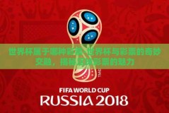 世界杯属于哪种彩票-世界杯与彩票的奇妙交融，揭秘足球彩票的魅力