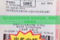 哪儿能买世界杯彩票-世界杯狂热，解锁购彩新体验