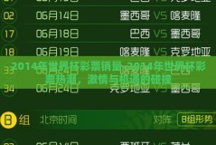 2014年世界杯彩票销量-2014年世界杯彩票热潮，激情与机遇的碰撞