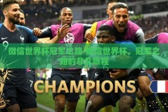 微信世界杯冠军之路-微信世界杯，冠军之路的非凡旅程