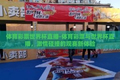 体育彩票世界杯直播-体育彩票与世界杯直播，激情碰撞的观赛新体验