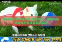 微信购买世界杯彩票-微信购彩，便捷与风险并存的足球盛宴新渠道