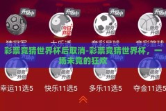 彩票竞猜世界杯后取消-彩票竞猜世界杯，一场未竟的狂欢