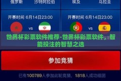 世界杯彩票软件推荐-世界杯彩票软件，智能投注的智慧之选