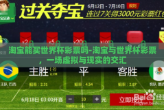 淘宝能买世界杯彩票吗-淘宝与世界杯彩票，一场虚拟与现实的交汇