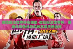 微信投注世界杯在哪里-微信投注世界杯，便捷与风险并存的数字娱乐新选择