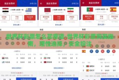 世界杯彩票怎么买靠谱-世界杯彩票购买指南，理性选择，安全投注