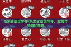 乐米彩票世界杯-乐米彩票世界杯，激情与梦想的碰撞
