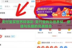 支付宝买世界杯体彩-支付宝购彩世界杯，便捷与乐趣的完美结合