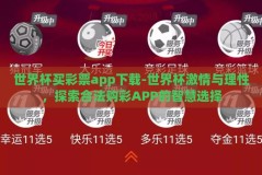 世界杯买彩票app下载-世界杯激情与理性，探索合法购彩APP的智慧选择