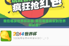 我在哪买世界杯彩票-我在哪里能买到世界杯彩票？