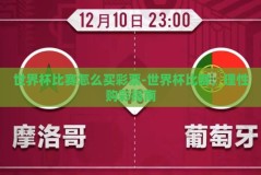 世界杯比赛怎么买彩票-世界杯比赛，理性购彩指南