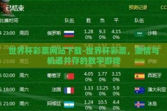 世界杯彩票网站下载-世界杯彩票，激情与机遇并存的数字游戏