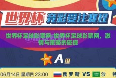 世界杯足球彩票网-世界杯足球彩票网，激情与策略的碰撞