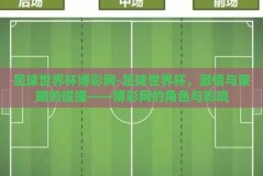 足球世界杯博彩网-足球世界杯，激情与策略的碰撞——博彩网的角色与影响