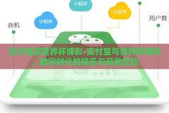 支付宝买世界杯博彩-支付宝与世界杯博彩，数字时代的娱乐与风险交织