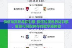 微信购买世界杯彩票-微信购买世界杯彩票，便捷与风险并存的数字新体验
