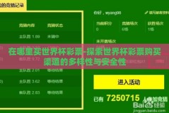 在哪里买世界杯彩票-探索世界杯彩票购买渠道的多样性与安全性