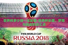 世界杯多少钱一注彩票-世界杯彩票，梦想与现实的交汇点